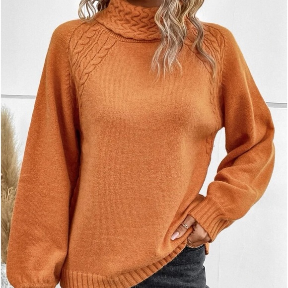 Delilah Wear Sweaters - New orange cableknit turtleneck sweater